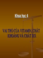 bài giảng khoa học 4 bài 6 vai trò của vitamin - chất khoáng và chất xơ