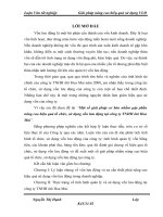 Luận văn: Một số giải pháp cơ bản nhằm góp phần nâng cao hiệu quả tổ chức, sử dụng vốn lưu động tại công ty TNHH ôtô hoa mai