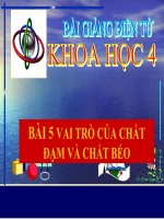 bài giảnng khoa học 4 bài 5 vai trò của chất đạm và chất béo