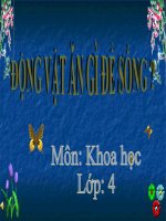 bài giảng khoa học 4 bài 63 động vật ăn gì để sống