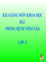 bài giảng khoa học 5 bài 14 phòng bệnh viêm não