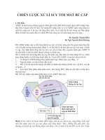 CHIẾN LƯỢC XỬ LÍ SUY TIM MẤT BÙ CẤP