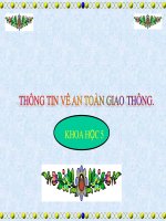 bài giảng khoa học 5 bài 19 phòng tránh tai nạn giao thông đường bộ