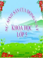 bài giảng khoa học 5 bài 55 sự sinh sản của động vật