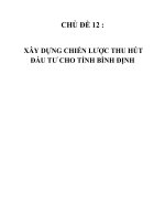 Xây dựng chiến lược thu hút đầu tư cho tỉnh bình định