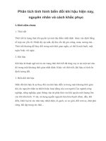 Phân tích tình hình biến đổi khí hậu hiện nay ở Việt Nam và biện pháp khắc phục