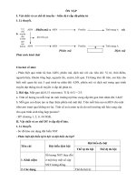 ÔN TẬP DI TRUYỀN  BIẾN DỊ