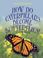 how do caterpillars become butterflies