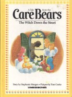 care bears the witch down the street