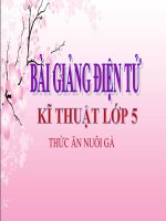 bài giảng kỹ thuật 5 bài 13 nuôi dưỡng gà