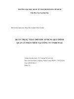 Tiểu luận môn Thay đổi và phát triển tổ chức QUẢN TRỊ SỰ THAY ĐỔI KHI ÁP DỤNG QUI TRÌNH QUẢN LÝ PHẦN MỀM TẠI CÔNG TY TNHH WAE