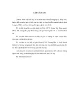 nghiên cứu chuyển đổi từ văn phòng đại diện sang công ty thương mại tại việt nam của tập đoàn gimaex pháp