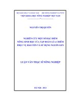 Nghiên cứu một số đặc điểm nông sinh học của tập đoàn lúa chiêm phục vụ bảo tồn và sử dụng nguồn gen