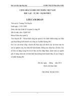 hoàn thiện công tác quản lý tài chính nhằm nâng cao hiệu quả hoạt động kinh doanh của công ty cổ phần quảng độ