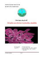 chế phẩm men tiêu hóa lactobacillus cidophillus