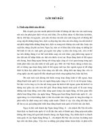 giải pháp phát triển dịch vụ thanh toán quốc tế tại ngân hàng đông á - chi nhánh hà nội