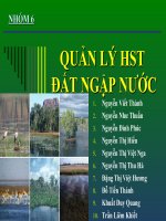 quản lý hệ sinh thái đất ngập nước
