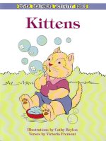 dover beginners activity books kittens