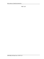 các nguyên nhân và giải pháp kìm chế lạm phát tại việt nam