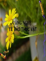 công nghệ tế bào thực vật