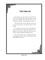 các yếu tố tác động đến sự thực hiện điều chế thích nghi