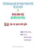 đề tài: các cơ quan cảm giác