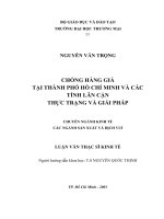 chống hàng giả tại thành pho hồ chí minh và các tỉnh lân cận thực trạng và giải pháp