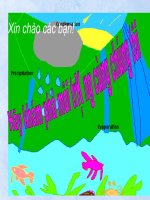 HÀNH TINH XANH  Ô NHIỄM MÔI TRƯỜNG