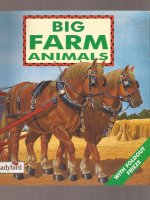 big farm animals