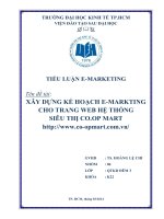 TIỂU LUẬN EMARKETING XÂY DỰNG KẾ HOẠCH EMARKTING  CHO TRANG WEB HỆ THỐNG  SIÊU THỊ COOP MART