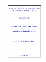 Nghiên cứu một số đặc điểm sinh học, sinh thái của sâu cephonodes hylas linnaeus hại lá cà phê ở đắk lắc