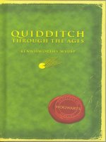 quidditch through the ages