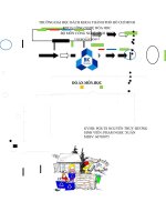 ỨNG DỤNG CÔNG NGHỆ SINH HỌC TRONG SẢN XUẤT BIOPLASTIC