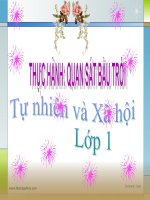 bài giảng tự nhiên xã hội lớp 1 bài 31 thực hành quan sát bầu trời