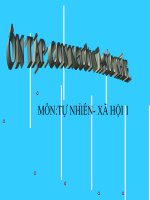 bài giảng tự nhiên xã hội lớp 1 bài 10 ôn tập con người và sức khỏe