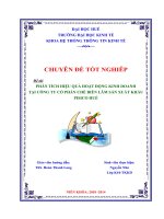 phân tích hiệu quả hoạt động kinh doanh tại công ty cổ phần chế biến lâm sản xuất khẩu pisico huế