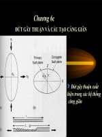 bài giảng địa chất cấu tạo chương 6c đứt dãy thuận và cấu tạo căng giãn