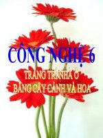 bài giảng công nghệ 6 bài 12 trang trí nhà ở bằng cây cảnh và hoa