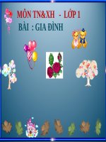 bài giảng tự nhiên xã hội lớp 1 bài 11 gia đình