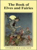 the book of elves and fairies