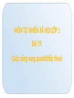 bài giảng tự nhiên xã hội lớp 1 bài 19 cuộc sống xung quanh (tt)