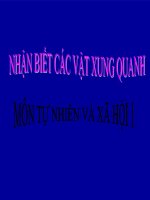 bài giảngtự nhiên xã hội lớp 1 bài 3 nhận biết các vật xung quanh