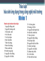 cấu trúc vai trò của enzim. chứng minh hằng số michaelis menten và ý nghĩa của hằng số đó. tìm hiểu enzim fad