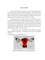 đánh giá hiệu quả của hai phác đồ xử trí đáp ứng kém với kích thích buồng trứng trong thụ tinh trong ống nghiệm tại bệnh viện phụ sản trung ương