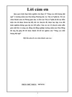 skkn trẻ làm quen với môi trường  xung quanh