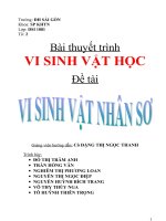 sinh sản ở vi sinh vật nhân sơ