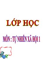 bài giảng tự nhiên xã hội lớp 1 bài 16 hoạt động ở lớp