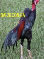 bài giảng tự nhiên xã hội lớp 1 bài 26 con gà