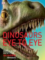 dinosaurs eye to eye