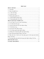 Đề tài thực trạng và giải pháp nhằm giảm thiểu tình trạng tranh chấp lao động ở việt nam